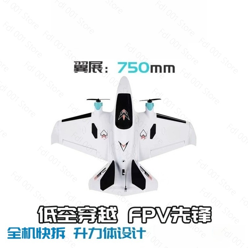 Dual Motor FPV vaste vleugel R - Drone Rc Drone recensie en prijs